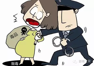 2016年初，涉縣警方查獲一起涉毒案件，鑒于該案涉案人員多、毒品交易量大，涉縣警方立即將案情上報(bào)，被公安部確立為“目標(biāo)-2016-314”號(hào)毒品案件。涉縣警方成立專案組，經(jīng)過多方追查，先后抓獲團(tuán)伙人員13名，繳獲毒品5349克，并查明上線“濮姐”的真實(shí)身份為陳某。